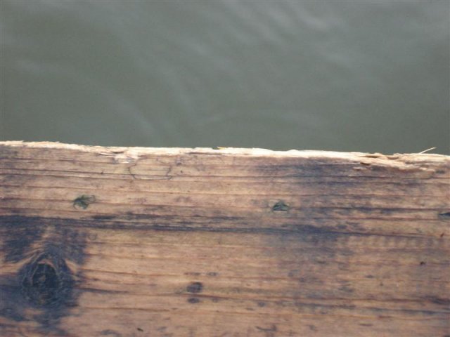 DSC05794 (Medium)